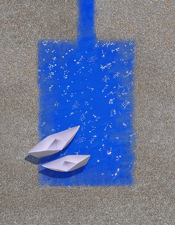 Visual art - "Paper Cockle on sand" - Poster