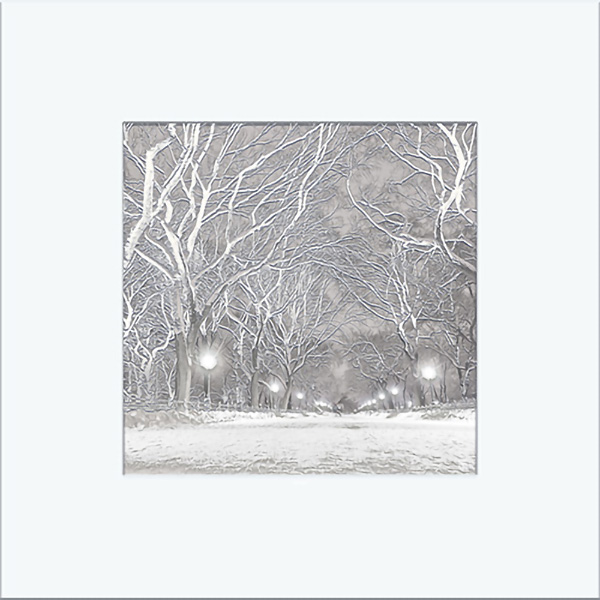 Visual Art - "Central Park" - Canvas