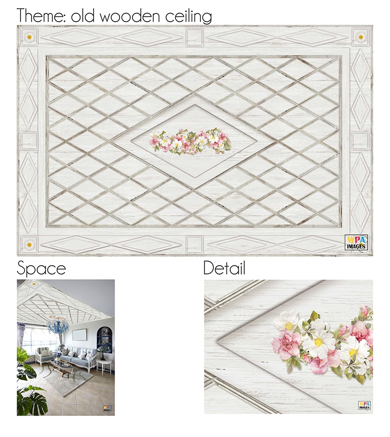 Visual Art - "Wooden ceiling" - Mural.